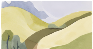 Why Passion is not enough